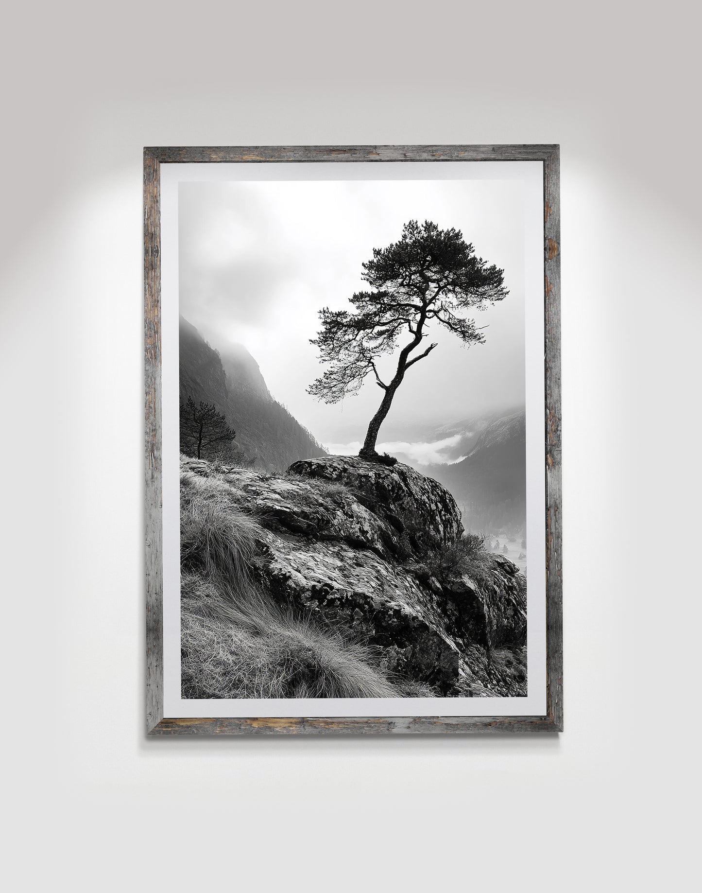 Lonely Oak