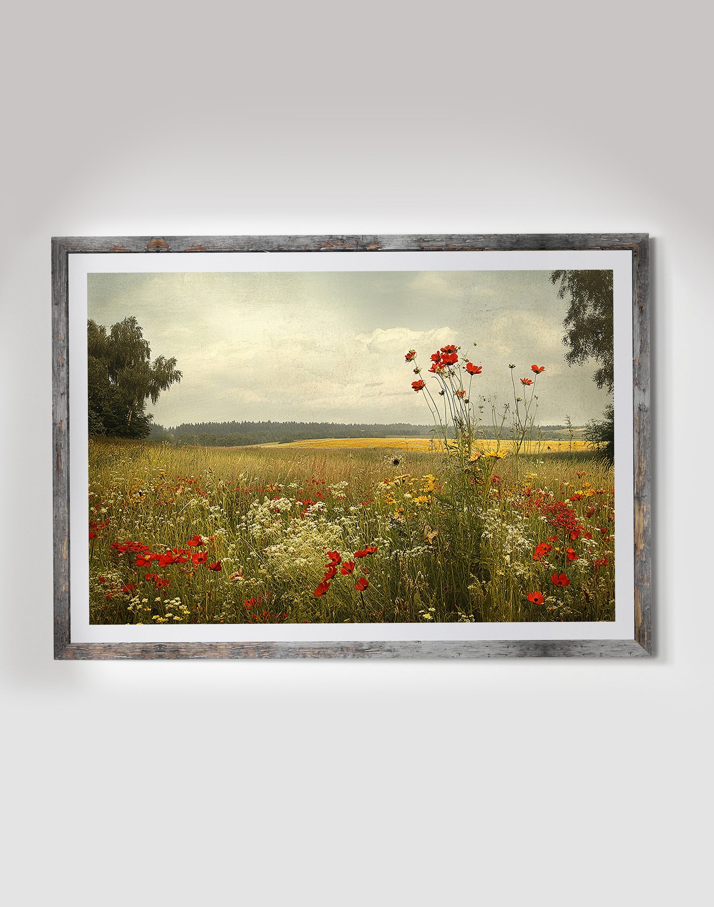 Red Poppies - Art Print